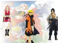 team 7